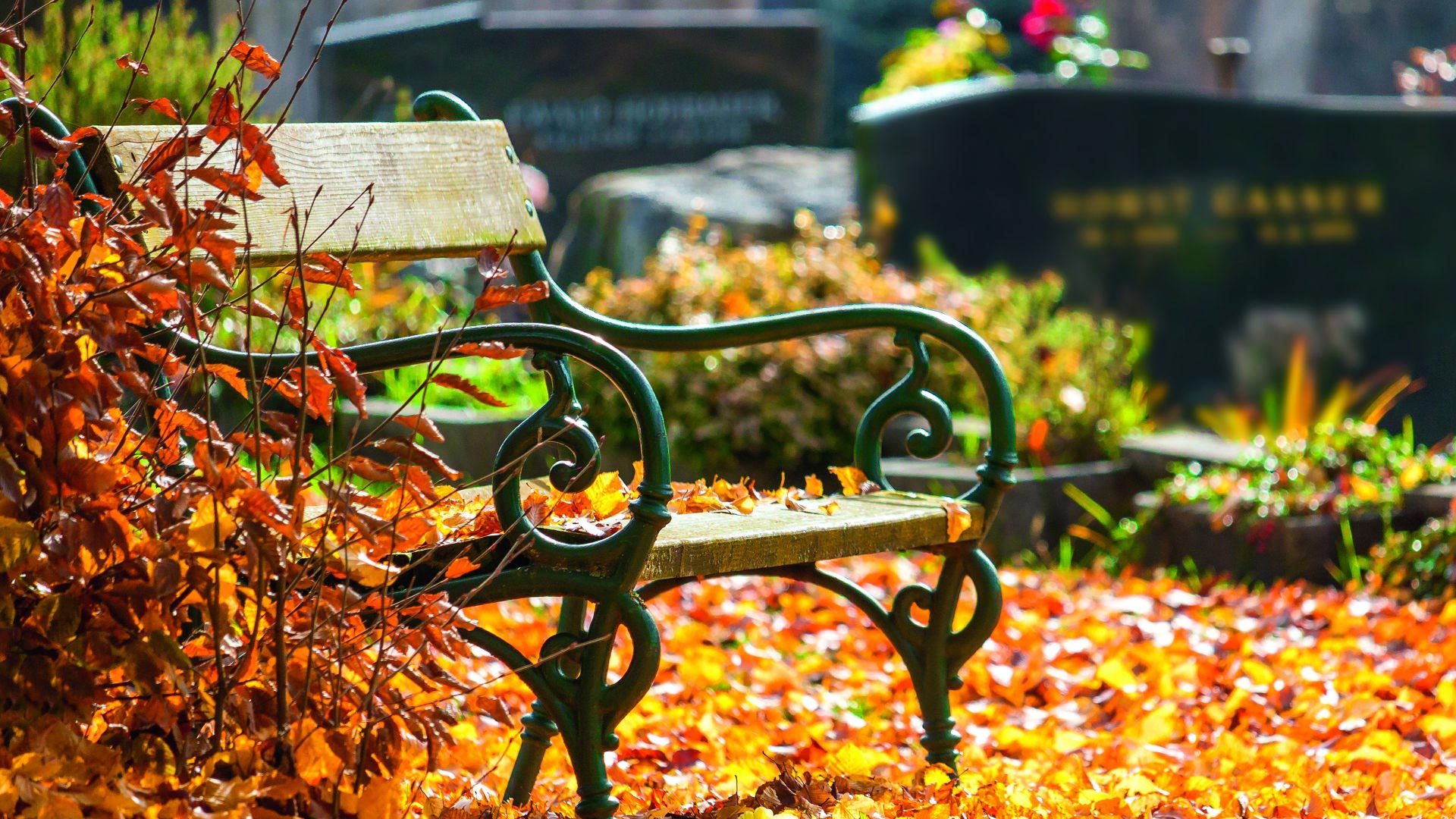 banc du songe dans les allées du cimetière