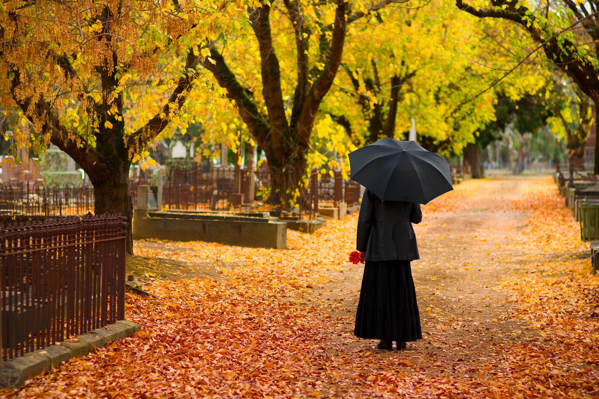 recueillement sur la tombe